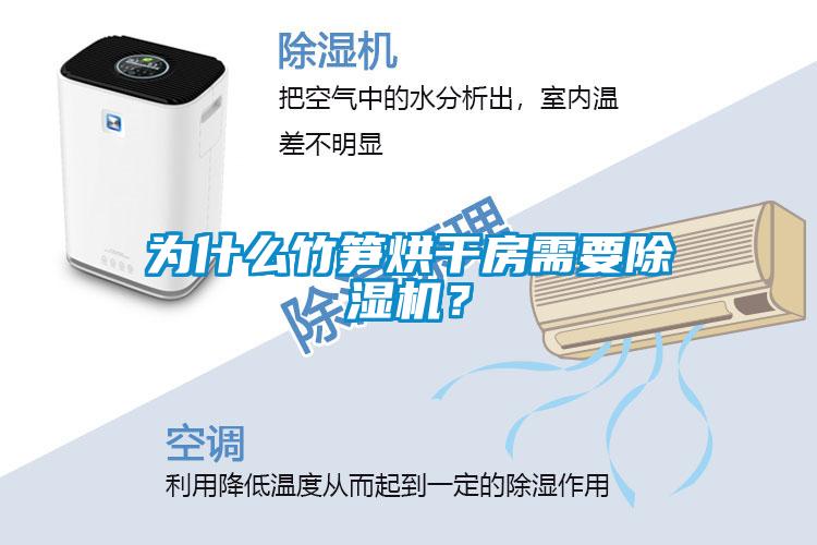 為什么竹筍烘干房需要除濕機？