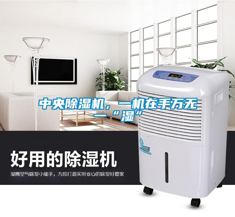 中央除濕機，一機在手萬無一“濕”