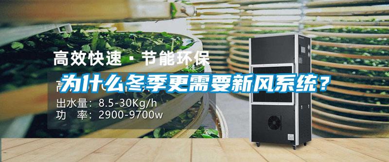 為什么冬季更需要新風(fēng)系統(tǒng)？