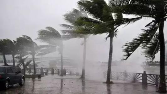 8月臺風雨即將來，除濕機還得用起來