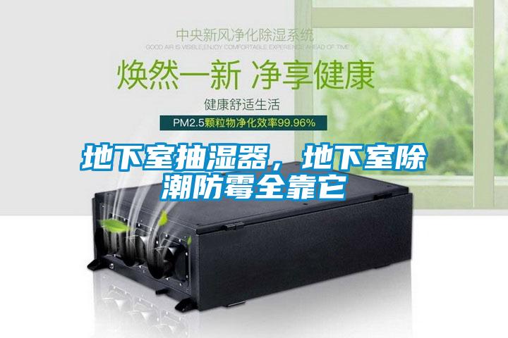 地下室抽濕器，地下室除潮防霉全靠它