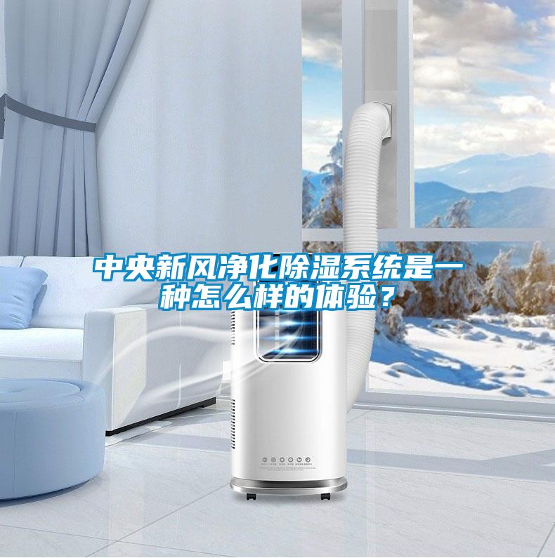 中央新風凈化除濕系統是一種怎么樣的體驗？