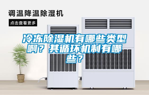 冷凍除濕機有哪些類型啊？其循環機制有哪些？