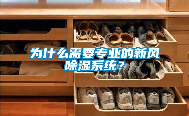 為什么需要專業的新風除濕系統？