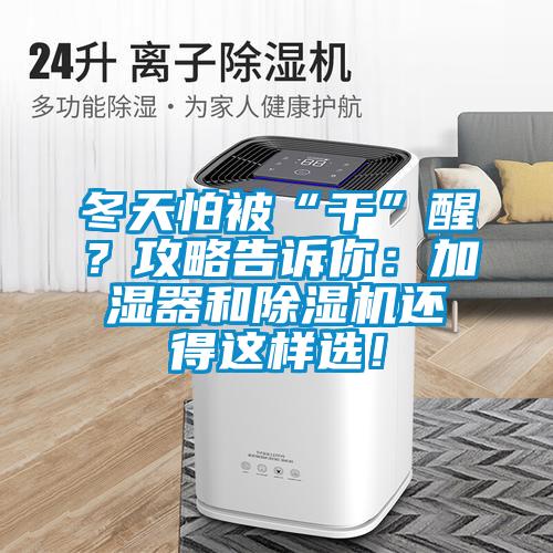冬天怕被“干”醒？攻略告訴你：加濕器和除濕機還得這樣選！