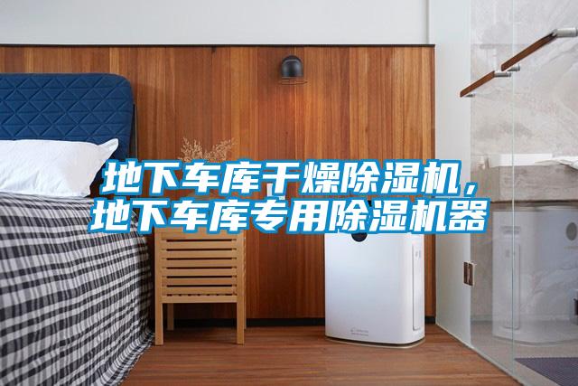 地下車庫干燥除濕機，地下車庫專用除濕機器