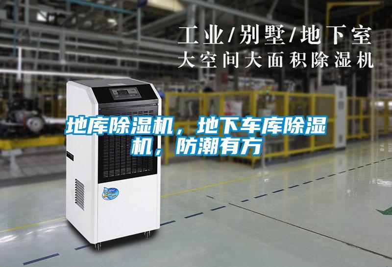 地庫除濕機，地下車庫除濕機，防潮有方