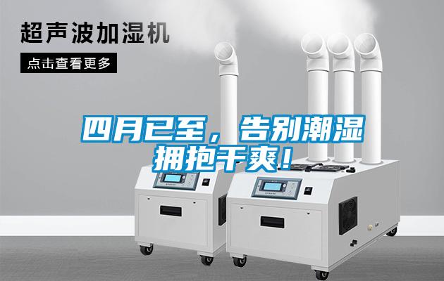 四月已至，告別潮濕擁抱干爽！