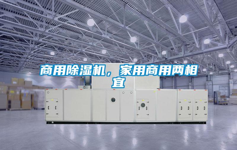 商用除濕機(jī)，家用商用兩相宜