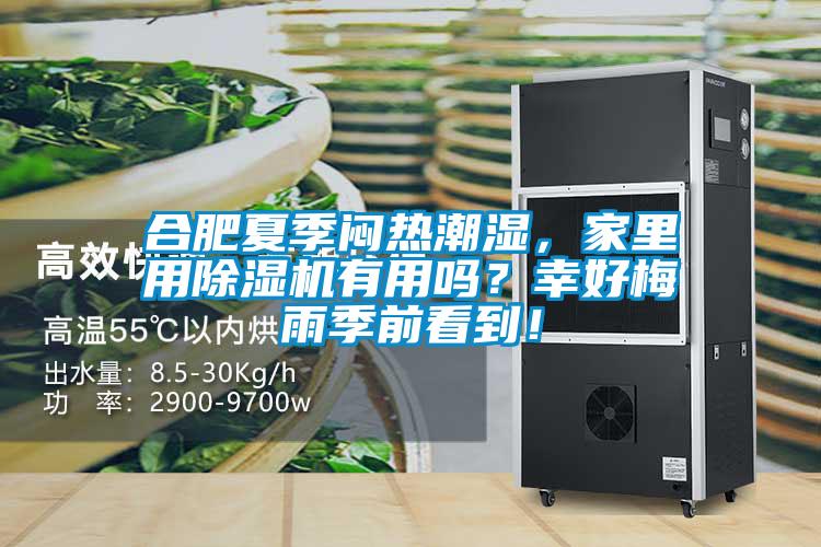 合肥夏季悶熱潮濕，家里用除濕機(jī)有用嗎？幸好梅雨季前看到！