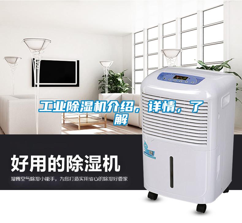工業除濕機介紹，詳情，了解