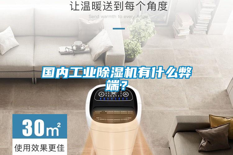 國(guó)內(nèi)工業(yè)除濕機(jī)有什么弊端？
