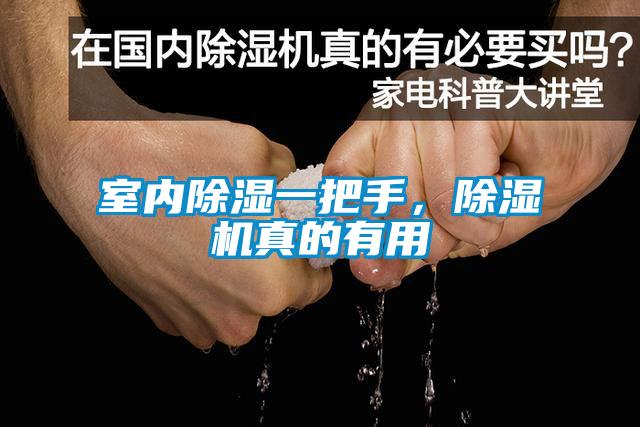 室內除濕一把手，除濕機真的有用