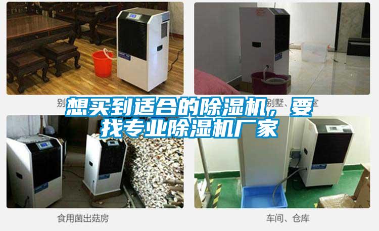 想買到適合的除濕機，要找專業除濕機廠家
