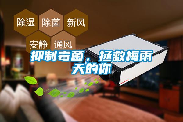 抑制霉菌，拯救梅雨天的你