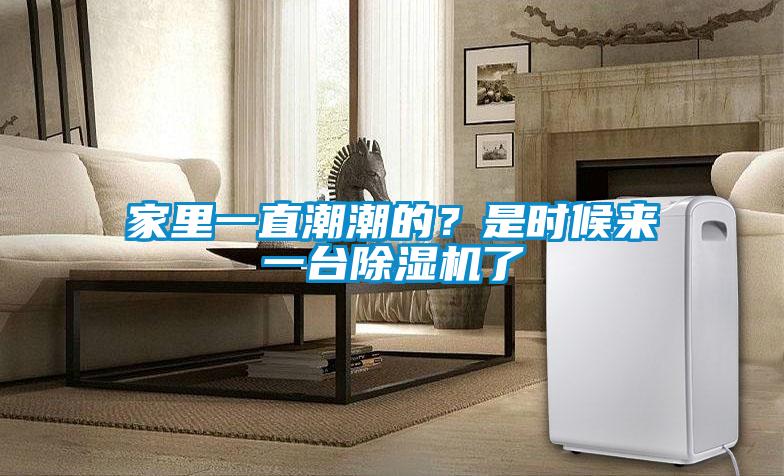家里一直潮潮的？是時候來一臺除濕機了