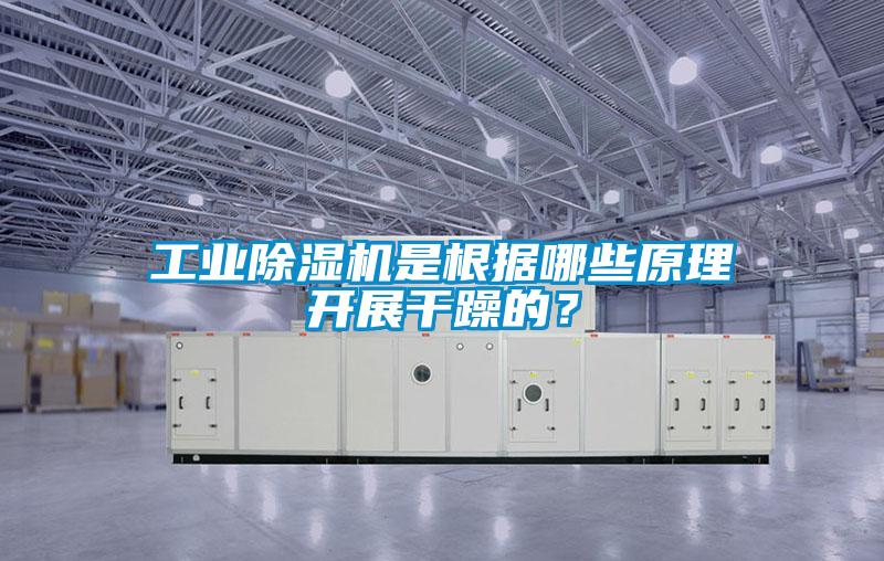 工業(yè)除濕機(jī)是根據(jù)哪些原理開展干躁的？