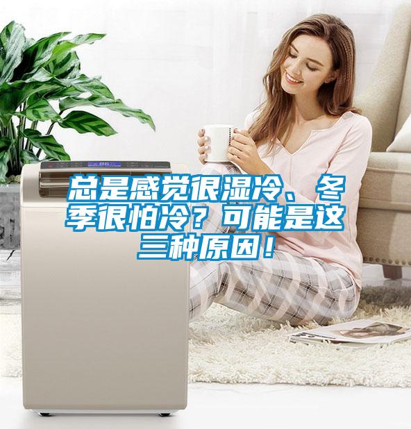 總是感覺很濕冷、冬季很怕冷？可能是這三種原因！