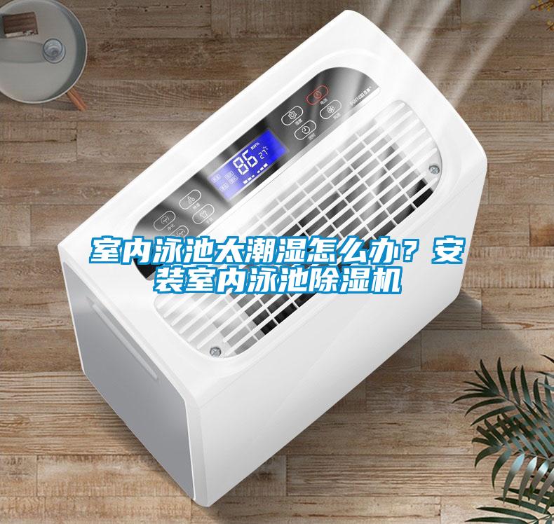 室內泳池太潮濕怎么辦？安裝室內泳池除濕機
