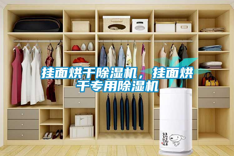 掛面烘干除濕機，掛面烘干專用除濕機