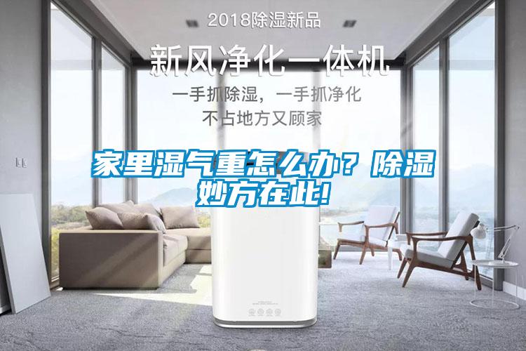 家里濕氣重怎么辦？除濕妙方在此!