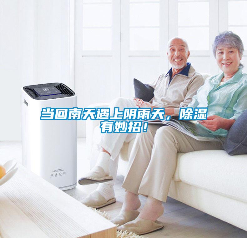 當回南天遇上陰雨天，除濕有妙招！