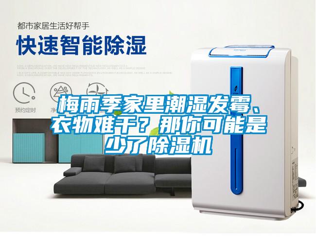 梅雨季家里潮濕發霉、衣物難干？那你可能是少了除濕機