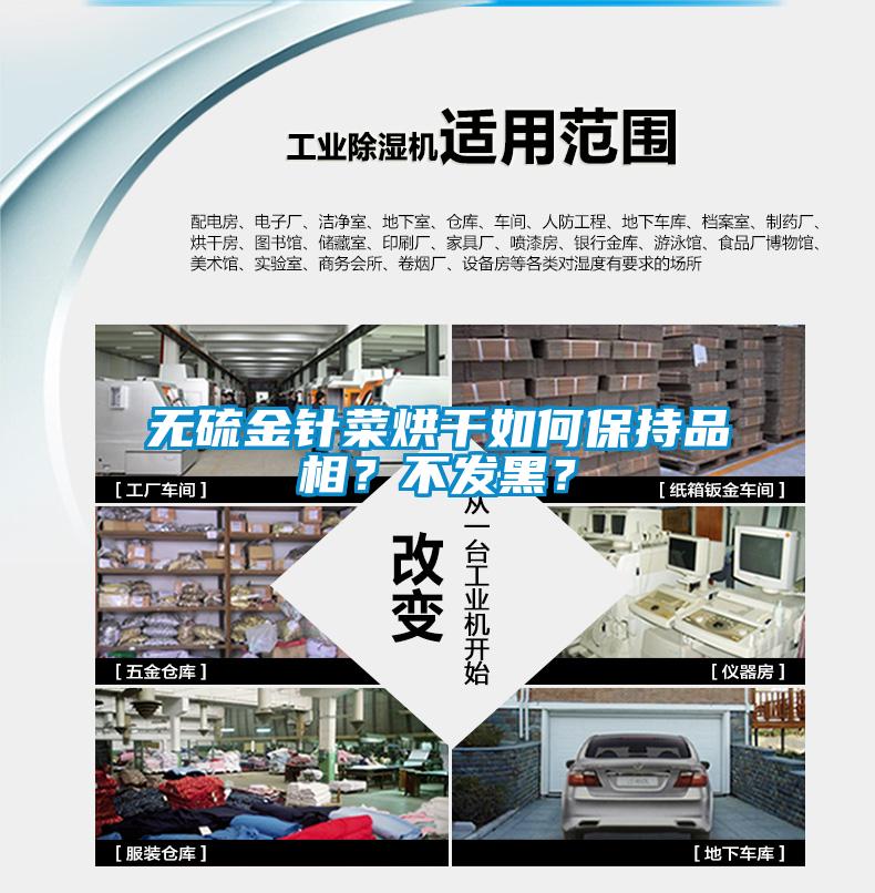 無硫金針菜烘干如何保持品相？不發(fā)黑？