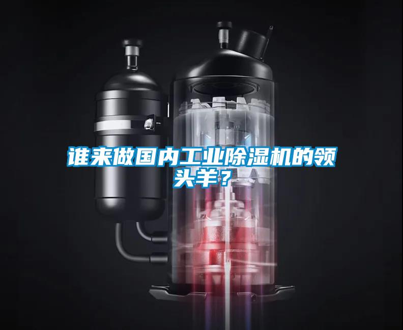 誰來做國內工業(yè)除濕機的領頭羊？