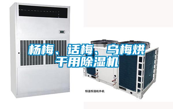 楊梅、話梅、烏梅烘干用除濕機