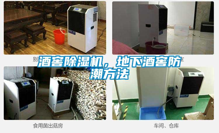 酒窖除濕機，地下酒窖防潮方法