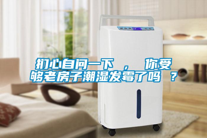 捫心自問(wèn)一下 ， 你受夠老房子潮濕發(fā)霉了嗎 ？