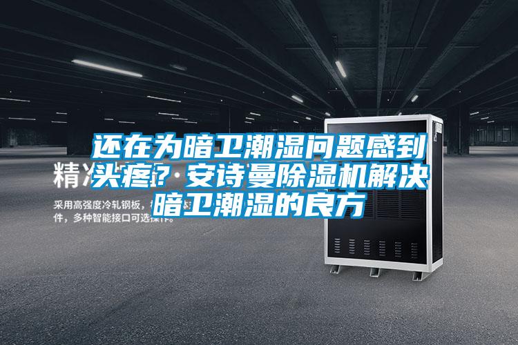 還在為暗衛潮濕問題感到頭疼？安詩曼除濕機解決暗衛潮濕的良方