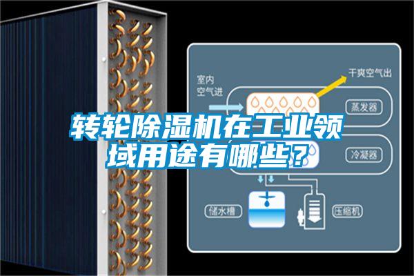轉輪除濕機在工業領域用途有哪些？
