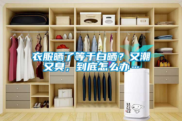 衣服曬了等于白曬？又潮又臭，到底怎么辦…
