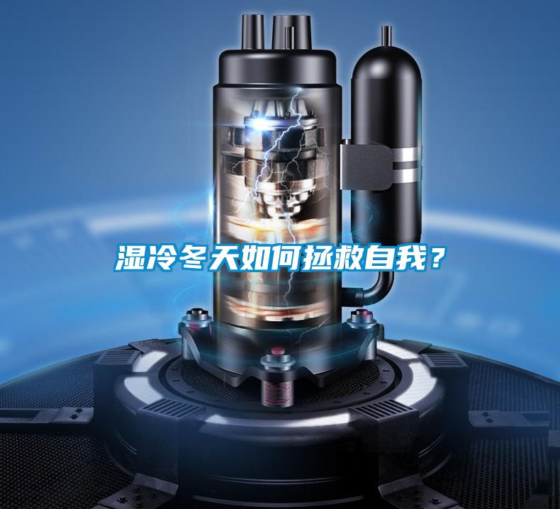 濕冷冬天如何拯救自我？