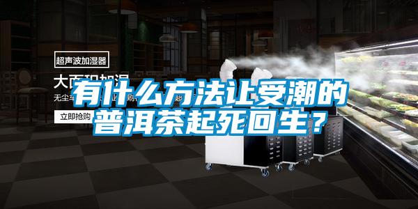 有什么方法讓受潮的普洱茶起死回生？