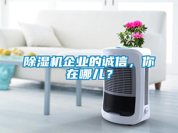 除濕機(jī)企業(yè)的誠信，你在哪兒？