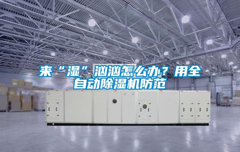 來(lái)“濕”洶洶怎么辦？用全自動(dòng)除濕機(jī)防范