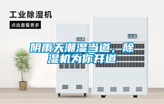 陰雨天潮濕當道，除濕機為你開道