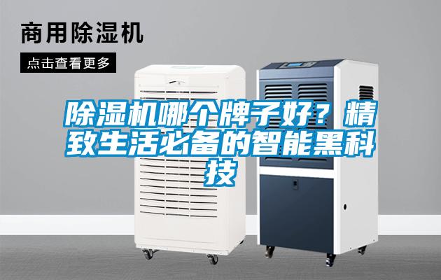 除濕機哪個牌子好？精致生活必備的智能黑科技