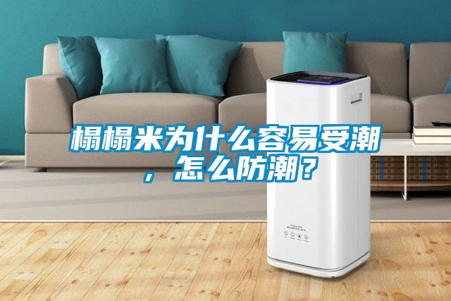 榻榻米為什么容易受潮，怎么防潮？