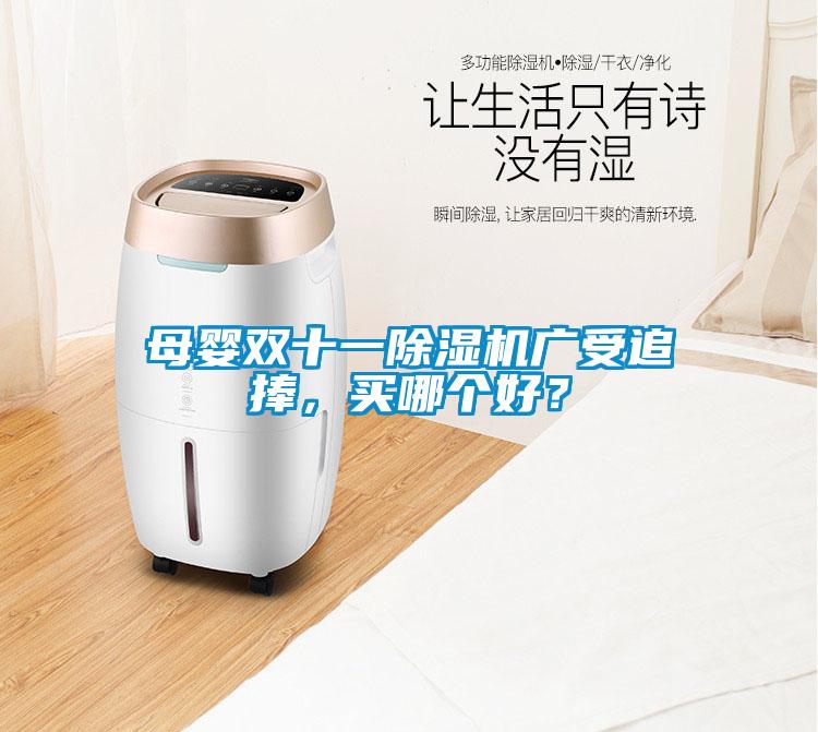 母嬰雙十一除濕機廣受追捧，買哪個好？