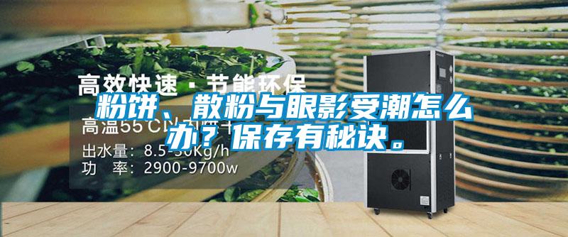 粉餅、散粉與眼影受潮怎么辦？保存有秘訣。