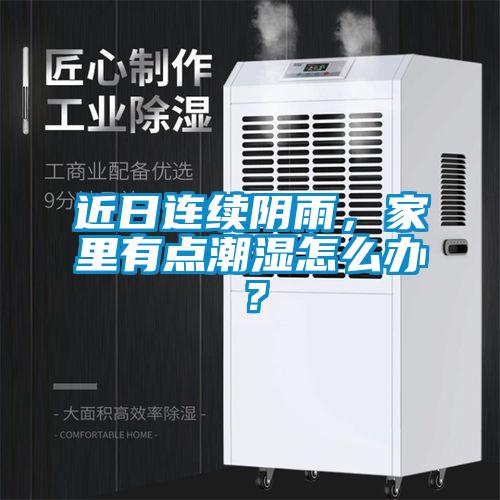 近日連續(xù)陰雨，家里有點潮濕怎么辦？