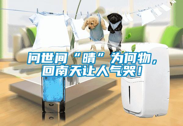 問世間“晴”為何物，回南天讓人氣哭！