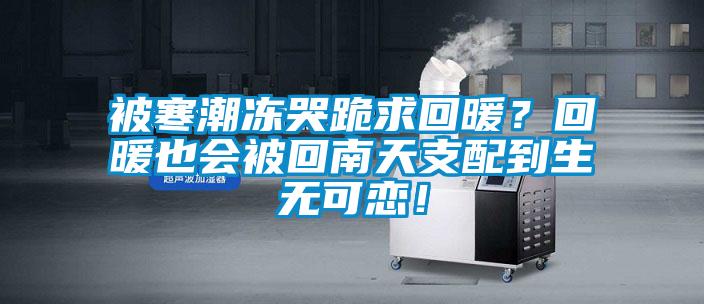被寒潮凍哭跪求回暖？回暖也會被回南天支配到生無可戀！