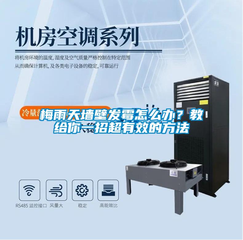 梅雨天墻壁發(fā)霉怎么辦？教給你一招超有效的方法