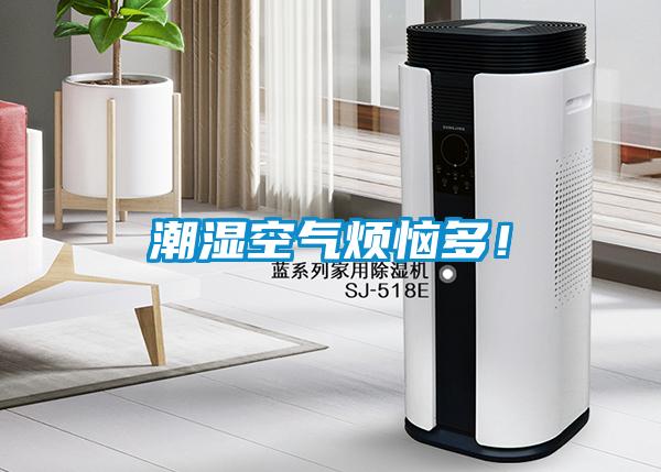 潮濕空氣煩惱多！