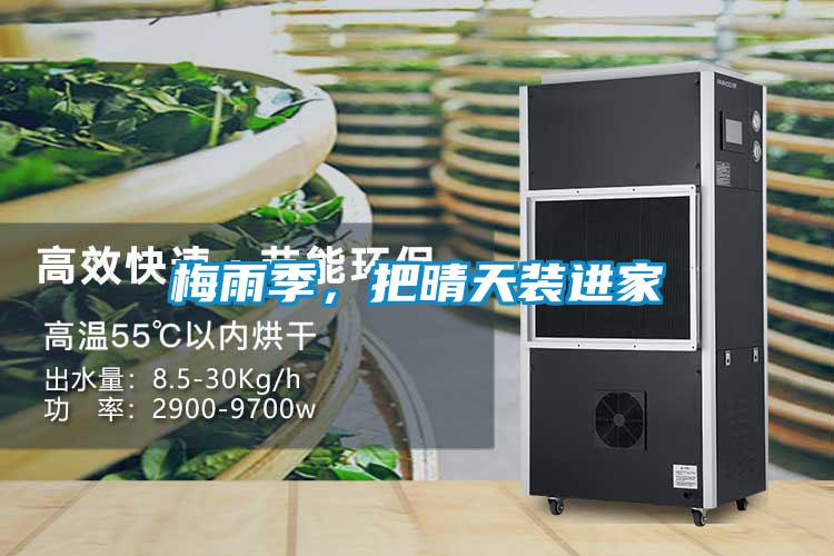 梅雨季，把晴天裝進家